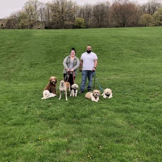 Image of Barkstown Pet Services service in Jersey City, New Jersey, United States Image of Barkstown Pet Services service in Jersey City, New Jersey, United States