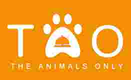 Image of The Animals Only service in Montpellier, Herault, France