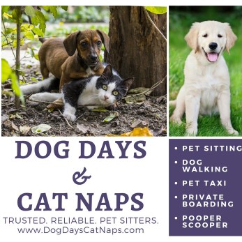Image of Dog Days & Cat Naps service in Jacksonville, Alabama, United States Image of Dog Days & Cat Naps service in Jacksonville, Alabama, United States