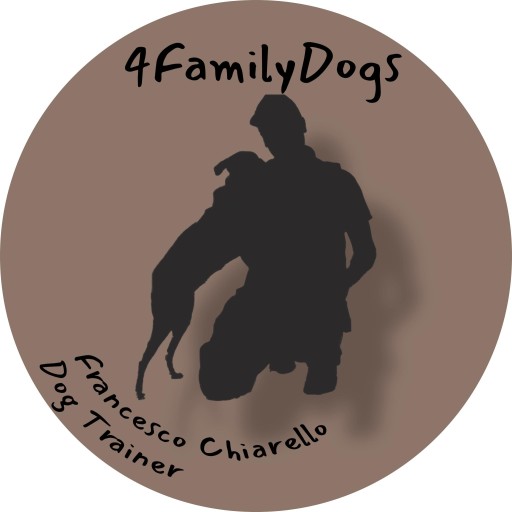 Image of Francesco Chiarello Dog Trainer service in milan, Lombardy, Italy
