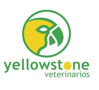 Image of Yellowstone Veterinarios service in Zaragoza, Zaragoza, Spain
