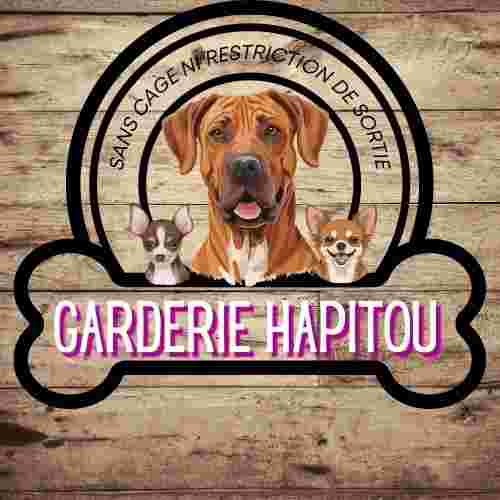 Image of Garderie Hapitou - Garderie pour chiens service in Sherbrooke, Quebec, Canada
