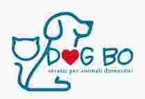 Image of dog bo - dog cat sitter service in Bologna, Bologna, Italy