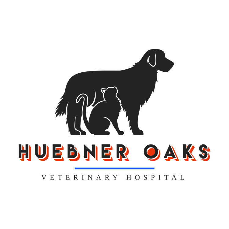 Image of Huebner Oaks Veterinary Hospital service in San Antonio, Texas, United States