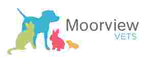 Image of Moorview Vets - Whitley Bay service in Whitley Bay, England, United Kingdom Image of Moorview Vets - Whitley Bay service in Whitley Bay, England, United Kingdom