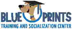 Image of Blue Prints Dog Studio service in Chittenango, New York, United States Image of Blue Prints Dog Studio service in Chittenango, New York, United States