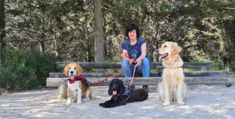 Image of Pension et Garderie Canine Les Pattes Libres - Dog Daycare and Boarding service in Pignan, Occitanie, France