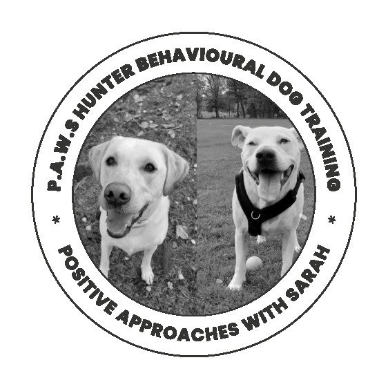 Image of P.A.W.S. Hunter Behavioural Dog Training service in Edinburgh, Scotland, United Kingdom