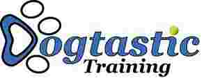 Image of Dogtastic Training service in San Luis Obispo, California, United States