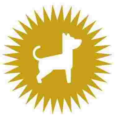 Image of DOGing Station Hundesalon Uhlenhorst service in Hamburg, Hamburg, Germany