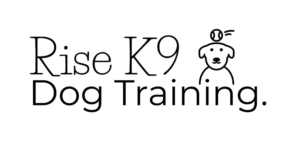 Image of Rise K9 Dog Training service in Port St. Lucie, Florida, United States
