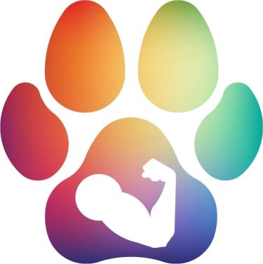 Image of Pawfit service in Wichita, Kansas, United States Image of Pawfit service in Wichita, Kansas, United States