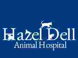 Image of Hazel Dell Animal Hospital service in Carmel, California, United States
