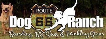 Image of Route 66 Dog Ranch service in Sapulpa, Oklahoma, United States