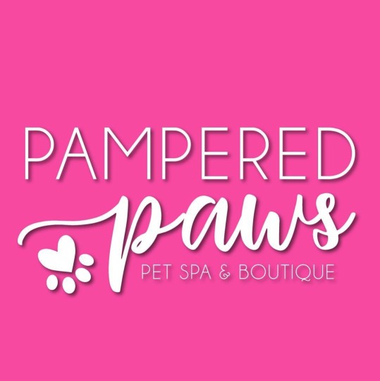 Image of Pampered Paws service in Denver, Colorado, United States Image of Pampered Paws service in Denver, Colorado, United States