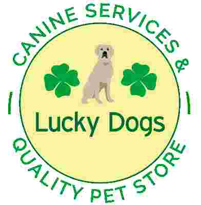 Image of Lucky Dogs - Skaneateles service in Village of Skaneateles, New York, United States Image of Lucky Dogs - Skaneateles service in Village of Skaneateles, New York, United States