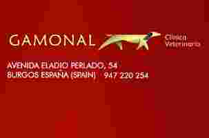 Image of Clínica Veterinaria Gamonal service in Burgos, Burgos, Spain