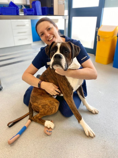 Image of Oakwood Veterinary Surgery service in Leeds, England, United Kingdom