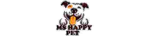 Image of MS Dog Training and boarding house service in Gurugram, Haryana, India Image of MS Dog Training and boarding house service in Gurugram, Haryana, India