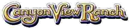 Image of Canyon View Ranch service in Topanga, California, United States Image of Canyon View Ranch service in Topanga, California, United States