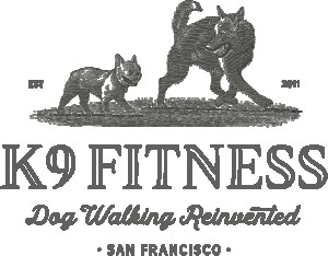 Image of K9 Fitness service in San Francisco, California, United States Image of K9 Fitness service in San Francisco, California, United States