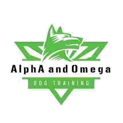 Image of AlphA and Omega Dog Training - Cleveland service in South Euclid, Ohio, United States Image of AlphA and Omega Dog Training - Cleveland service in South Euclid, Ohio, United States