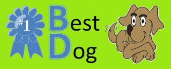 Image of Best Dog - Monument service in Monument, Colorado, United States Image of Best Dog - Monument service in Monument, Colorado, United States