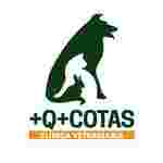 Image of Clínica Veterinaria Más que Mascotas service in Alicante (Alacant), Comunidad Valenciana, Spain