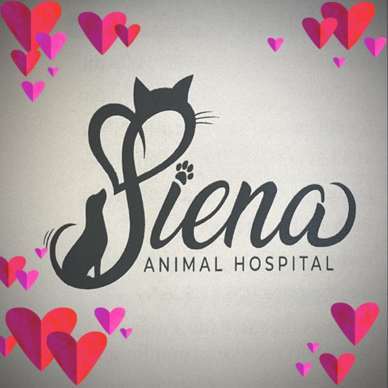 Image of Siena Animal Hospital service in Las Vegas, Nevada, United States