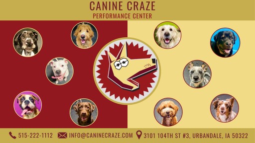 Image of Canine Craze Performance Center service in Urbandale, Iowa, United States Image of Canine Craze Performance Center service in Urbandale, Iowa, United States