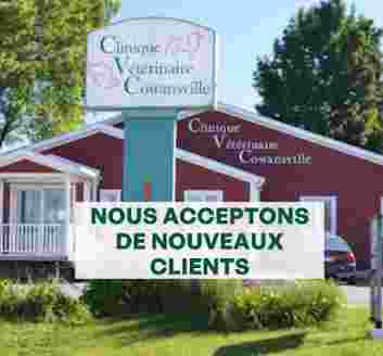 Image of Clinique Vétérinaire Cowansville service in Cowansville, Quebec, Canada