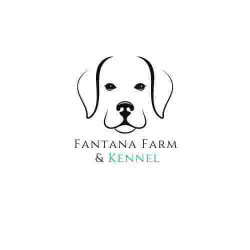 Image of Fantana Farm & Kennel service in Covington, Georgia, United States Image of Fantana Farm & Kennel service in Covington, Georgia, United States