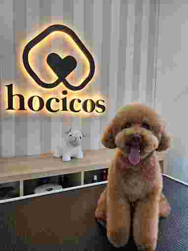Image of Hocicos | Peluquería canina en Zaragoza service in Zaragoza, Zaragoza, Spain
