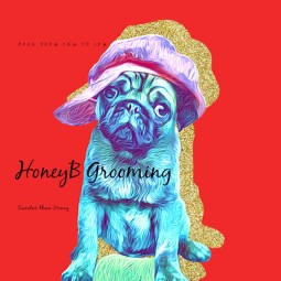 Image of Honey B's Pet Grooming and Boarding service in Lees Summit, Missouri, United States