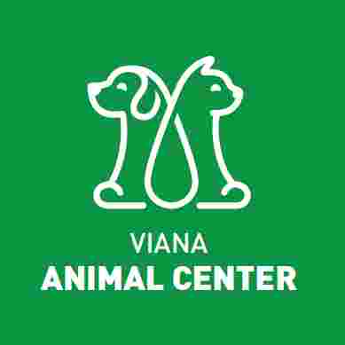 Image of Viana Animal Center service in Viana do Castelo, Norte, Portugal