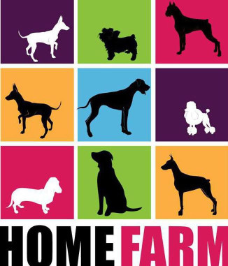 Image of Home Farm Kennels & Cattery service in Swillington, England, United Kingdom