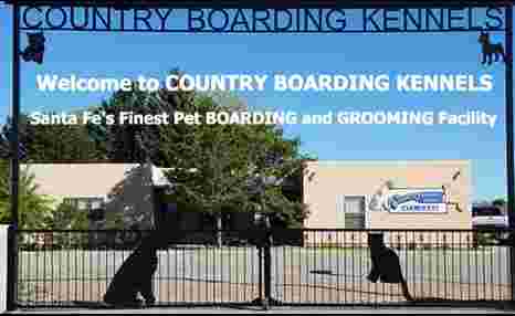Image of Country Boarding Kennels Inc service in Santa Fe, Texas, United States Image of Country Boarding Kennels Inc service in Santa Fe, Texas, United States