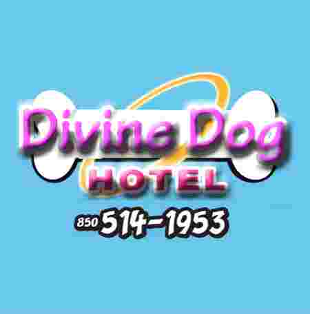 Image of Divine Dog Hotel service in Tallahassee, Florida, United States