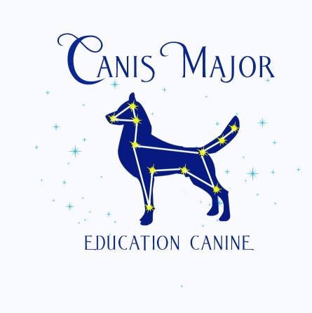 Image of Canis Major Éducation Canine service in Longueuil, Quebec, Canada Image of Canis Major Éducation Canine service in Longueuil, Quebec, Canada