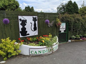 Image of Candidacasa Luxury Cattery & Kennels service in Rosewell, Scotland, United Kingdom