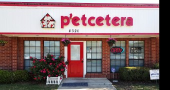 Image of P'etcetera Boarding and Grooming service in Mesquite, Nevada, United States