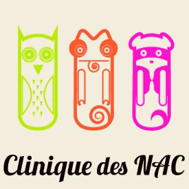 Image of NAC veterinary clinic service in Toulouse, Haute-Garonne, France