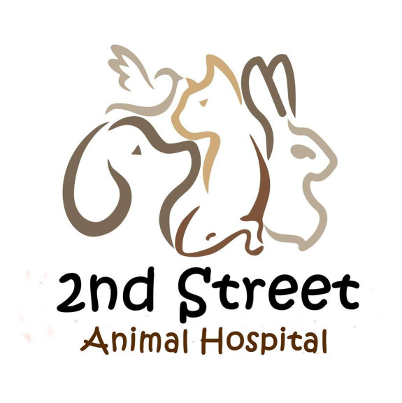 Image of 2nd Street Animal Hospital & Exotic Clinic service in Philadelphia, Pennsylvania, United States