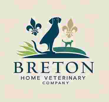 Image of Jorge Bretón veterinario a domicilio service in Murcia, Murcia, Spain