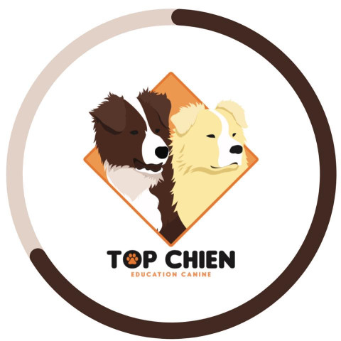 Image of Top Chien service in Montpellier, Herault, France