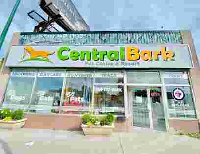 Image of Central Bark Inc service in Winnipeg, Manitoba, Canada Image of Central Bark Inc service in Winnipeg, Manitoba, Canada