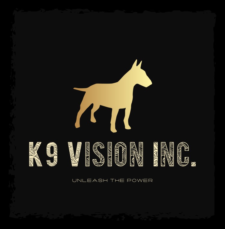 Image of K9 Vision Inc. service in Tonawanda, New York, United States
