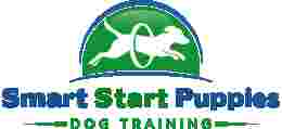 Image of Smart Start Puppies - Dog Training service in Miami, Florida, United States Image of Smart Start Puppies - Dog Training service in Miami, Florida, United States