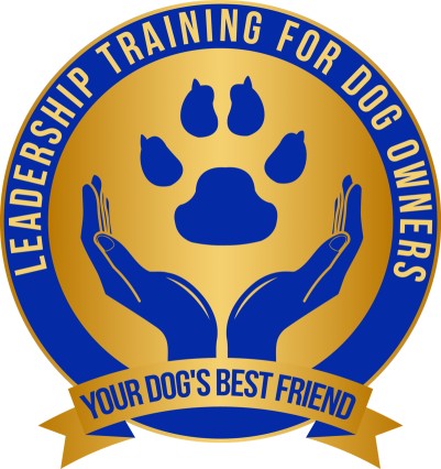 Image of Your Dog's Best Friend service in Hennepin County, Minnesota, United States Image of Your Dog's Best Friend service in Hennepin County, Minnesota, United States
