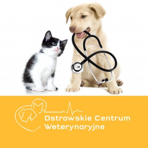 Image of Ostrowskie Centrum Weterynaryjne service in Ostrow Wielkopolski, Wielkopolskie, Poland